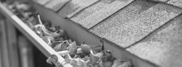 Gutter Cleaning in Fort Worth, TX