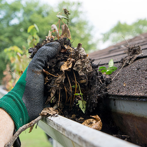 Gutter cleaningl