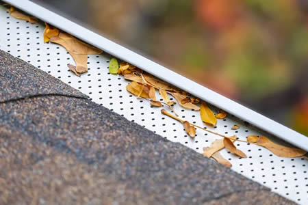 gutter cleaning