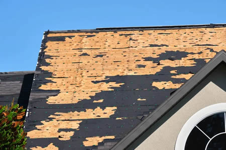 gutter cleaning